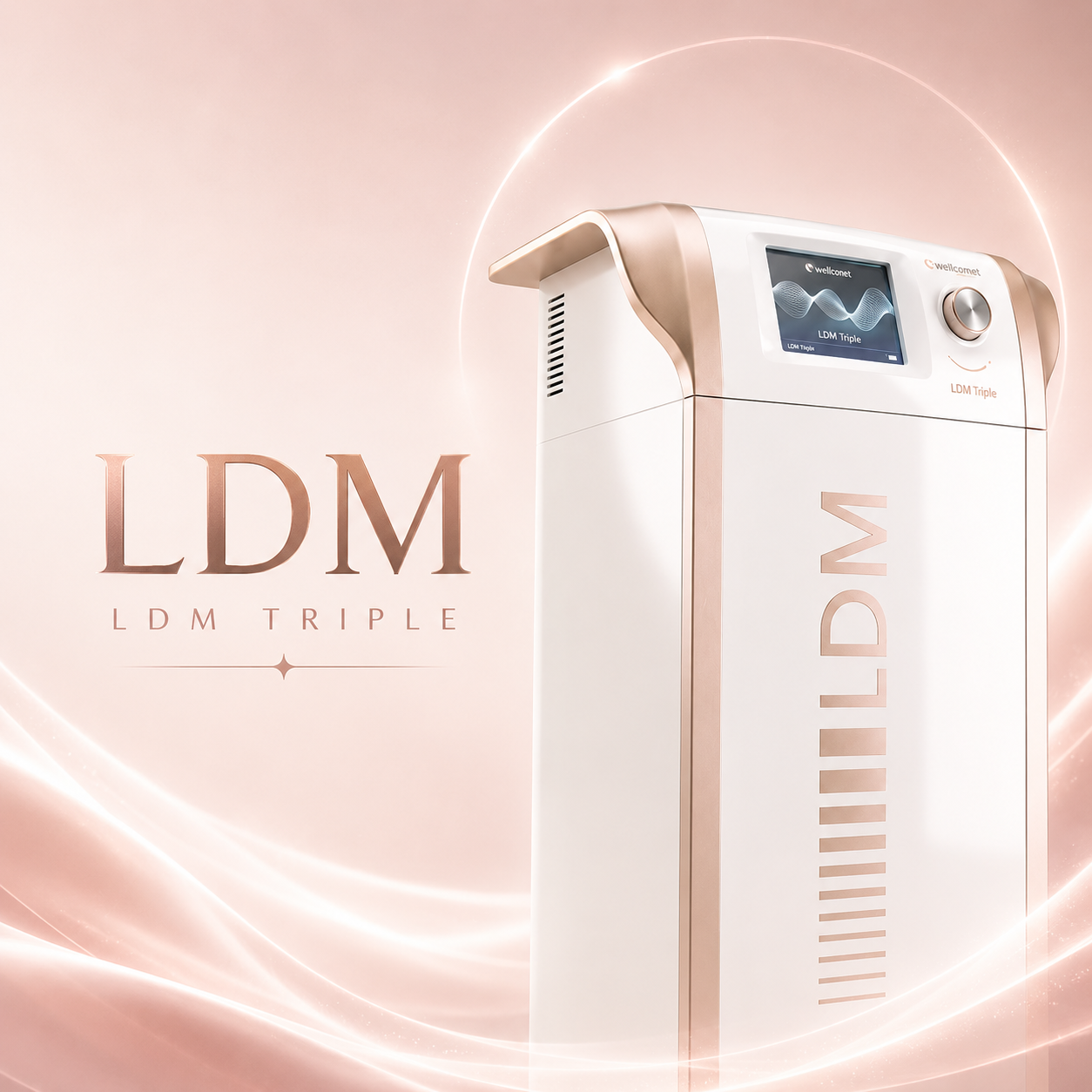 LDM